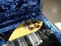 Rickenbacker 350/6 Mod, Jetglo: Close up - Free2