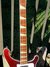 Rickenbacker 4001/4 , Burgundy: Neck - Front