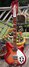 Rickenbacker 360/12 CW, Fireglo: Full Instrument - Front