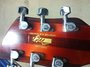 Rickenbacker 330/6 , Fireglo: Headstock - Rear