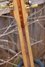 Rickenbacker 360/12 , Natural: Neck - Rear