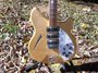 Rickenbacker 370/12 Byrd, Mapleglo: Body - Front
