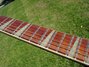 Rickenbacker 360/12 V64, Fireglo: Neck - Front