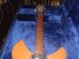 Rickenbacker 330/12 , Mapleglo: Neck - Front