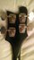 Rickenbacker 4001/4 , Jetglo: Headstock - Rear