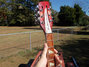 Rickenbacker 360/12 , Fireglo: Free image