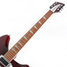 Rickenbacker 370/6 , Burgundy: Neck - Front