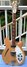 Rickenbacker 360/12 , Mapleglo: Full Instrument - Front