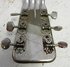 Rickenbacker NS 100/6 Mod, Silver: Close up - Free
