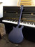 Rickenbacker 620/6 , Midnightblue: Full Instrument - Rear