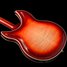 Jul 2014 Rickenbacker 381/6 V69, Fireglo: Body - Rear