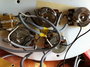 Rickenbacker 4003/4 , Fireglo: Free image2