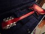 Rickenbacker 660/12 TP, Fireglo: Full Instrument - Rear