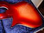 Rickenbacker 660/12 TP, Fireglo: Close up - Free2