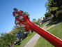 Rickenbacker 4003/4 , Ruby: Neck - Rear