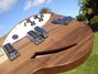 Rickenbacker 330/12 , Natural Walnut: Close up - Free