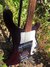 Rickenbacker 4000/4 PW Refin, Burgundy: Free image2