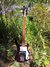 Rickenbacker 4000/4 PW Refin, Burgundy: Full Instrument - Front
