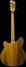 Rickenbacker 360/12 , Natural Walnut: Full Instrument - Rear