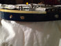 Rickenbacker 4001/4 , Azureglo: Close up - Free2