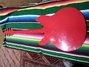 Rickenbacker 330/6 BH BT, Red: Full Instrument - Rear