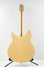 Rickenbacker 330/6 , Mapleglo: Full Instrument - Rear