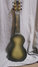 Rickenbacker NS/Post War/6 LapSteel, Gray: Full Instrument - Rear