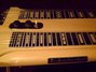 Rickenbacker DW12/12 LapSteel, Mapleglo: Neck - Front