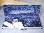 Rickenbacker 350/6 V63, Jetglo: Free image