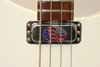 Rickenbacker 4004/4 Laredo, Snowglo: Close up - Free