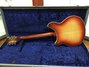 Rickenbacker 360/12 , Fireglo: Full Instrument - Rear