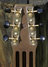 Rickenbacker Academy/6 LapSteel, Brown: Headstock - Rear