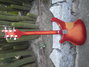 Rickenbacker 480/6 , Fireglo: Full Instrument - Rear