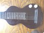 Rickenbacker Ace/6 LapSteel, Brown: Body - Front