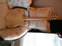Rickenbacker 370/6 , Mapleglo: Neck - Rear