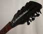 Rickenbacker 610/12 BH BT, Jetglo: Headstock