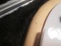 Rickenbacker 360/6 , Mapleglo: Close up - Free