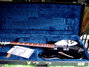 Rickenbacker 360/6 , Jetglo: Full Instrument - Front