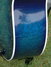 Rickenbacker 700/12 PW Build (acoustic), Blueburst: Free image2