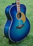Rickenbacker 700/12 PW Build (acoustic), Blueburst: Close up - Free
