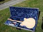 Rickenbacker 360/6 , Mapleglo: Full Instrument - Rear