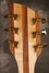 Rickenbacker 380/6 Laguna piezo, Natural Walnut: Headstock - Rear