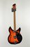 Rickenbacker 330/6 S, Tobaccoglo: Full Instrument - Front