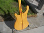 May 1976 Rickenbacker 4001/4 , Mapleglo: Body - Rear