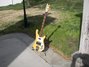 Rickenbacker 4001/4 , Mapleglo: Full Instrument - Front