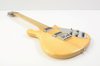 Rickenbacker 650/6 Colorado, Mapleglo: Free image