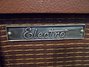 Rickenbacker M-12/amp Electro, Brown: Close up - Free