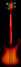 Rickenbacker 4003/4 , Fireglo: Full Instrument - Rear