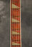 Rickenbacker 360/6 WB, Azureglo: Neck - Front