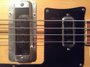 Rickenbacker 4001/4 Mod, Mapleglo: Free image